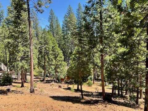 1547 Anna Lee Way, Arnold, CA 95223