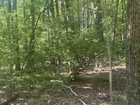 Lot#179 Mockingbird Circle, Farwell, MI 48622