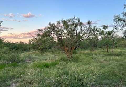 587 Valley Rd, Eldorado, TX 76936