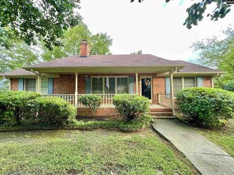295 S Royal Tower Drive, Irmo, SC 29063