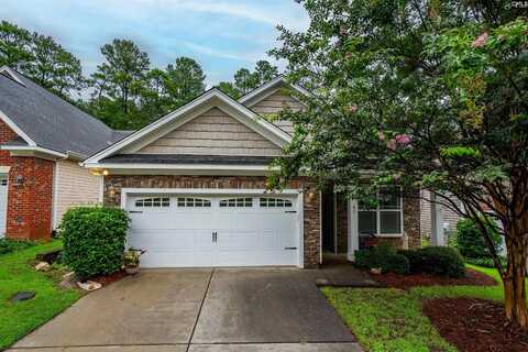 42 Revelstone Way, Chapin, SC 29036