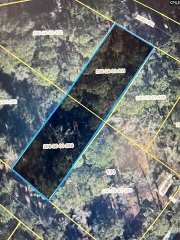 Lake Drive, Leesville, SC 29070