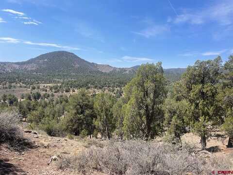 TBD High Flume Drive, Durango, CO 81303