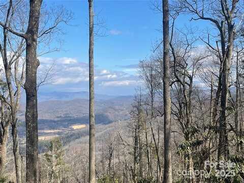 6 Laurel Ledge Way unit: 17, Fletcher, NC 28732