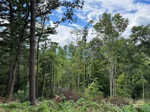 44 Stanley Hollow Road, Weaverville, NC 28787