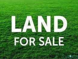 Walnut Shade Road, Caret, VA 22436