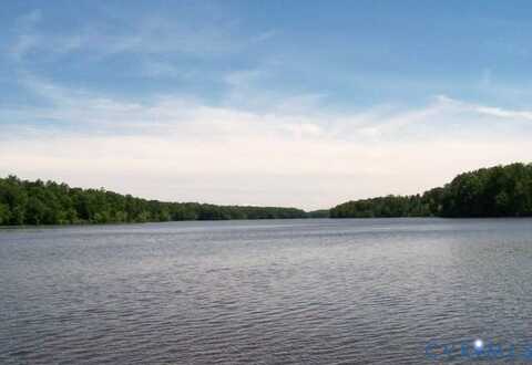 11836 Chesdin Bluff Terrace, Chesterfield, VA 23838