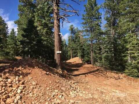 1110 W Cascade Dr, Duck Creek Village, UT 84762
