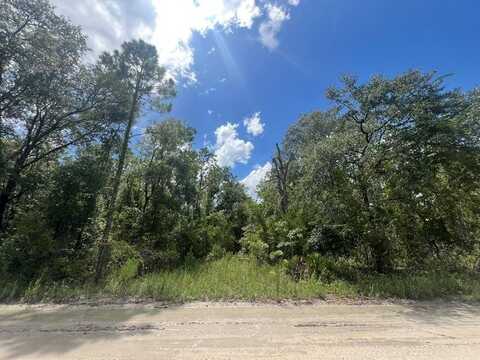 Lot 11 11th Ave, Bell, FL 32619