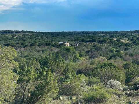 1429 Wagon Track, Comstock, TX 78837