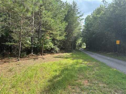 10 Lee Mashburn Road, Dahlonega, GA 30533