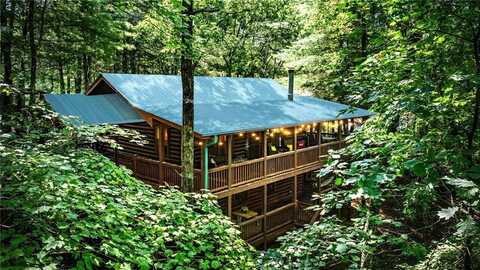 120 Tomahawk Trail, Blue Ridge, GA 30513