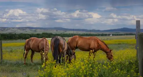 2733 Mt Highway 69, Boulder, MT 59632