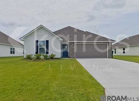 13754 Willowmore Dr, Denham Springs, LA 70726