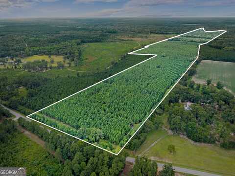 Apprx 218 Acres Old River, Statesboro, GA 30461