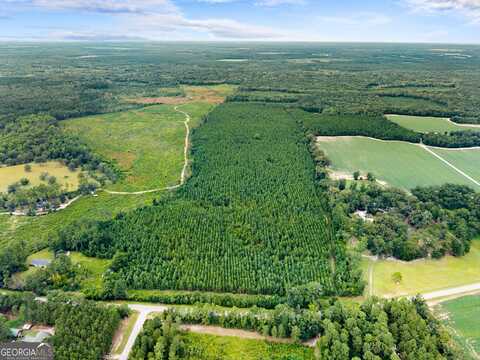 Apprx 14 Acres Old River, Statesboro, GA 30461