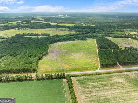 Apprx 34.2 Acre Highway 301, Statesboro, GA 30458