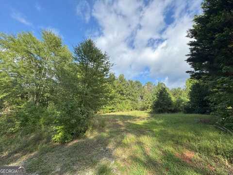 155 Mulberry, Danielsville, GA 30633