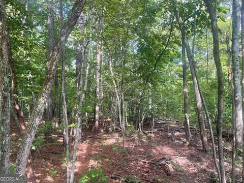 0 Young, Franklin, GA 30217