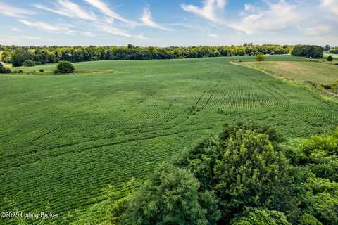 Tr 5 Cropper Rd, Pleasureville, KY 40057