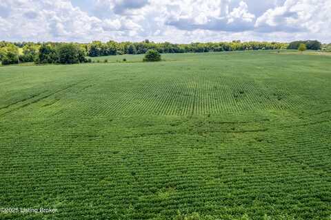 Tr 4 Cropper Rd, Pleasureville, KY 40057