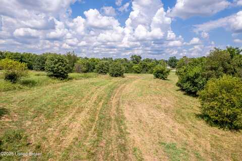Tr 10 Cropper Road, Pleasureville, KY 40057