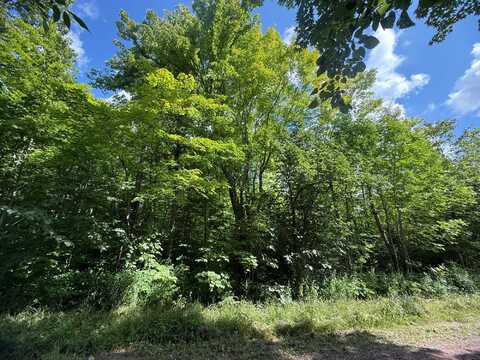 On TREE TOP LN, Ironwood, MI 49938