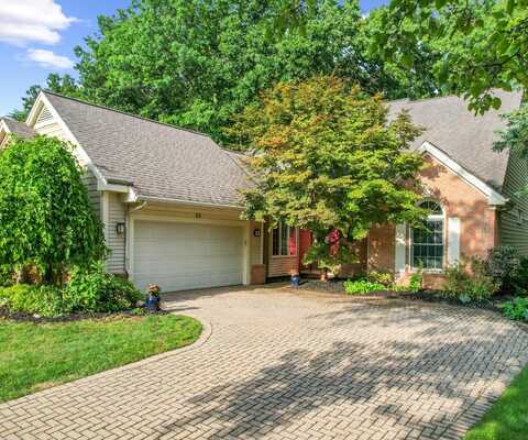 64 Chestnut Court, Chelsea, MI 48118