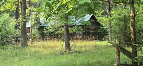 6132 S Croton Hardy Drive, Newaygo, MI 49337