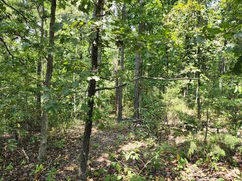 Tbd Country Air Lane, Mountain Grove, MO 65711