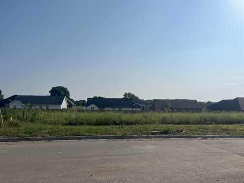 3017 E Heritage Street, Republic, MO 65738