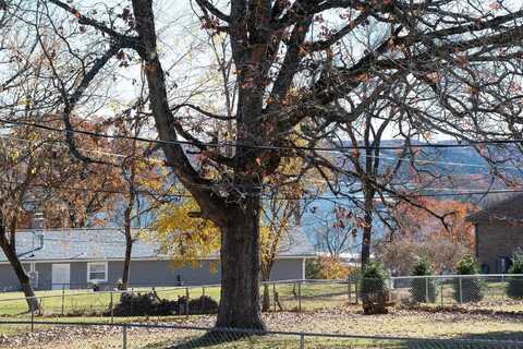 7 Sycamore Drive, Kimberling City, MO 65686