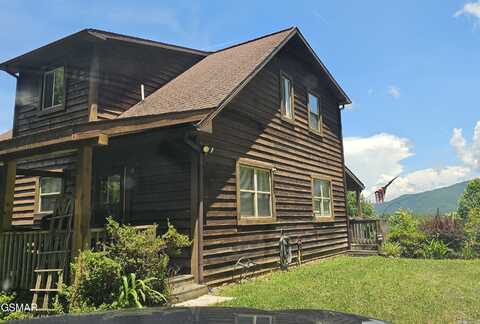 199 Pear tree Way, Del Rio, TN 37727