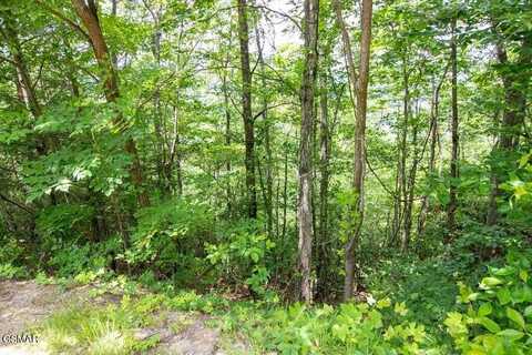 Lot 4 Enclave Park Way, Gatlinburg, TN 37738