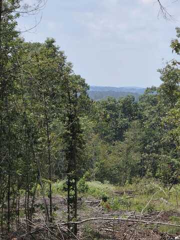 TBD County Road 3267, Mount Enterprise, TX 75681