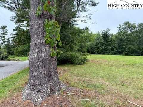 Lot 206 Sokassa Road, Newland, NC 28657