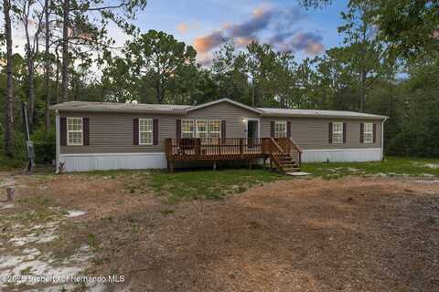 17155 Dalberg Drive, Shady Hills, FL 34610