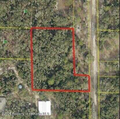 Bedrock Drive, Webster, FL 33597