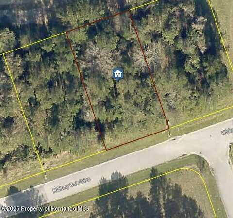 4925 Hickory Oak Drive, Brooksville, FL 34601