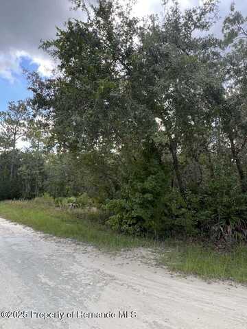 Zebrafinch Avenue, Weeki Wachee, FL 34614