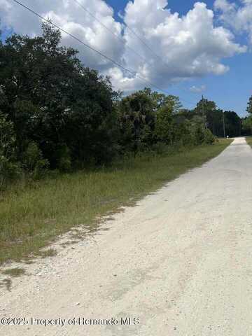 Yellow Frog Avenue, Brooksville, FL 34614