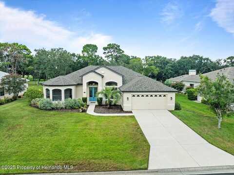 9694 Southern Belle Drive, Weeki Wachee, FL 34613