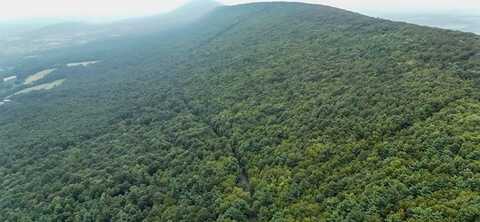 00 Mountain Road, James Creek, PA 16657