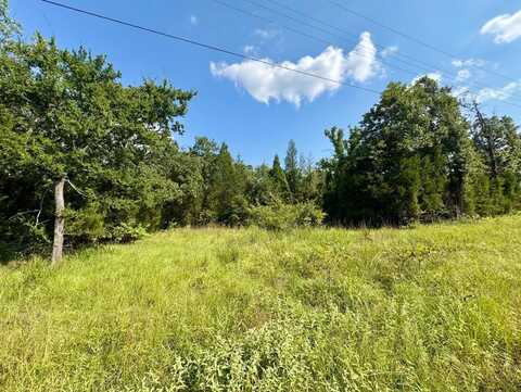 LT 2708 Paladin Dr, Log Cabin, TX 75148