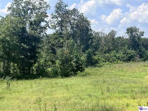 1928 Raider Hollow Road, Munfordville, KY 42765