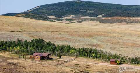 3513 N County Road 89, Red Feather Lakes, CO 80545