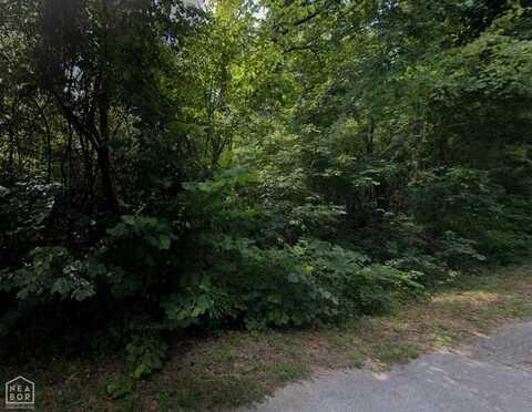 57 Iowa Drive, Cherokee Village, AR 72529