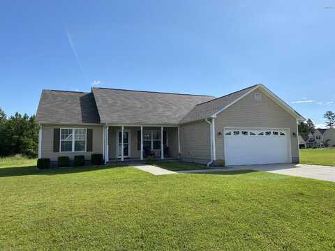 112 Michelle Ward Lane, Maple Hill, NC 28454