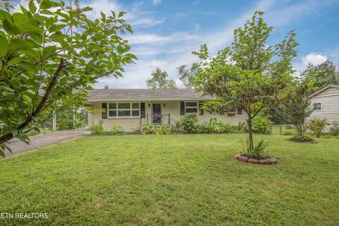 209 Wakefield Rd, Knoxville, TN 37922