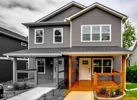 307 E Woodland Ave, Knoxville, TN 37917